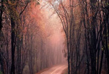 斯基拉：若无缘欧冠资格，尤文可能不会3000万欧.