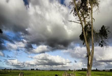 NG28：本赛季第8次退赛！“火箭”奥沙利文致歉，解释退赛原因九派新闻.