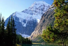 NG28：樊振东决定不参加澳门世界杯中新体育.